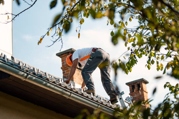 Best Roof Maintenance Services  in Rochester, WI
